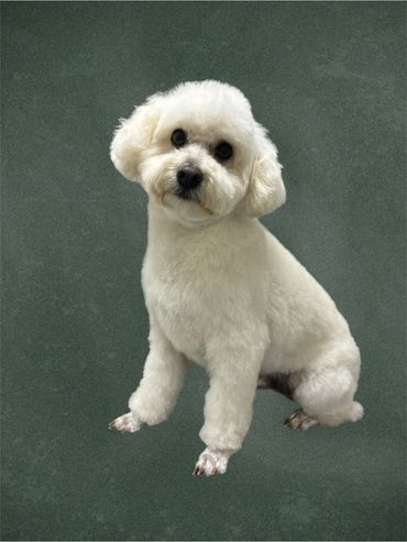 Clean feet cute and fluffy
