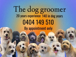 The Dog Groomer