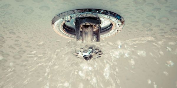 Fire sprinkler