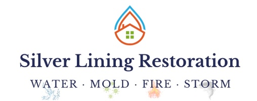 Silver Lining Restoration