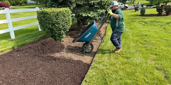 Mulch