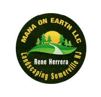 Mana on earth