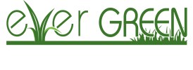 Ever Green
Keep Your Lawn Healthy & Green with Ever Green 