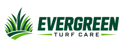 Ever Green
Keep Your Lawn Healthy & Green with Ever Green 