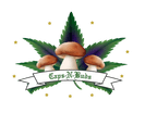 Caps-N-Buds