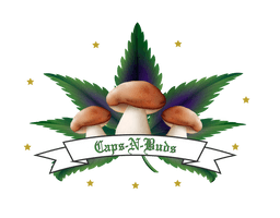 Caps-N-Buds