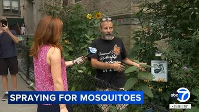 New York City to spray pesticides to help prevent spread of mosquitoes, diseases they may carry.