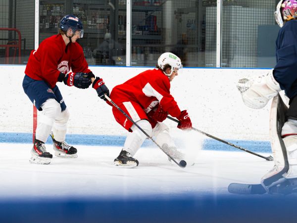 Two ice hockey players in red jerseys competing for the puck near a goalie.