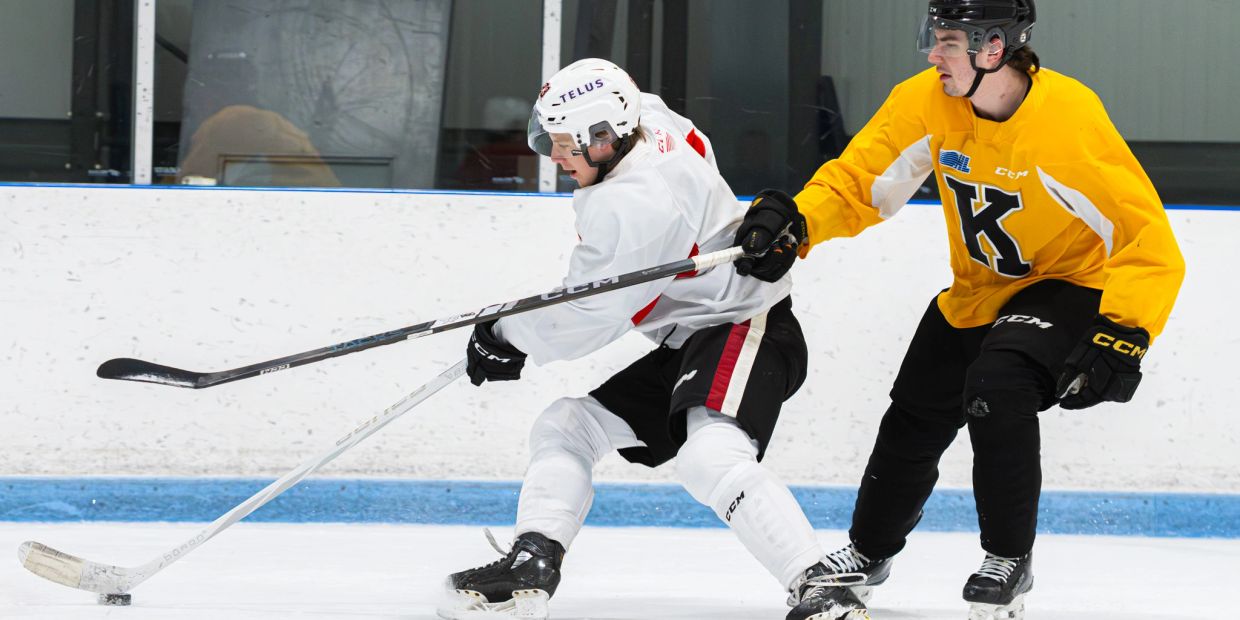 Two ice hockey players competing for the puck.