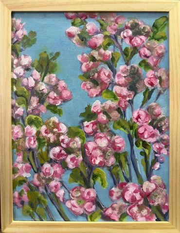 Cherry Blossoms