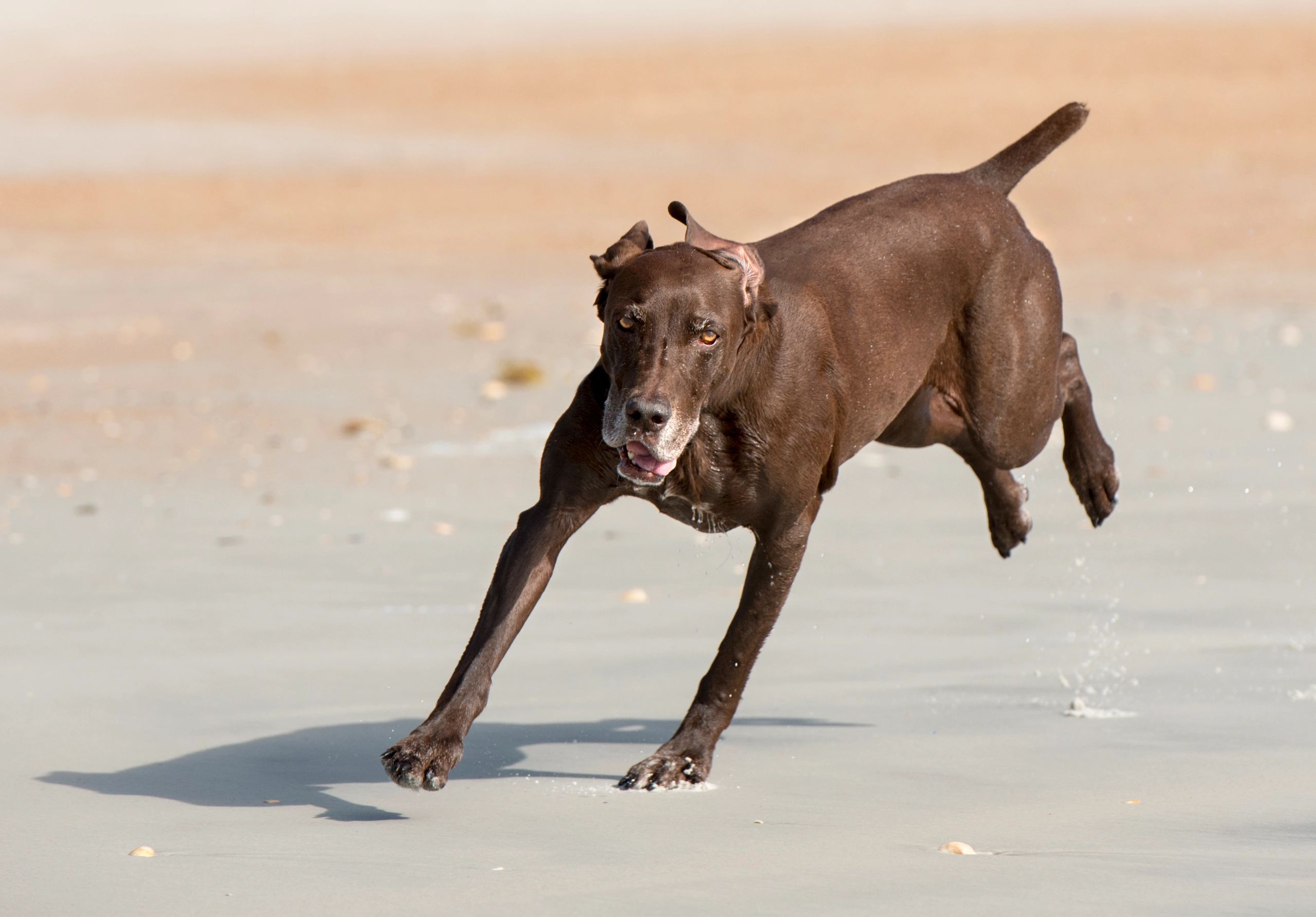 My Emilie on the beach