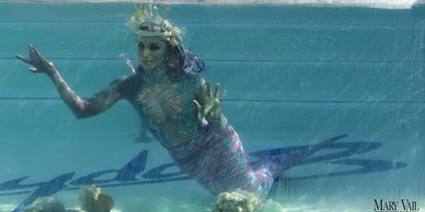 Aquatic performers for TV, Film, music videos, commercials, news broadcasts, promo reels.