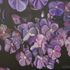 Purple flowers Norsay