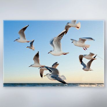 Canvas Prints