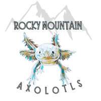 Rocky Mountain Axolotls