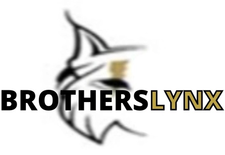 BROTHERSLYNX LLC