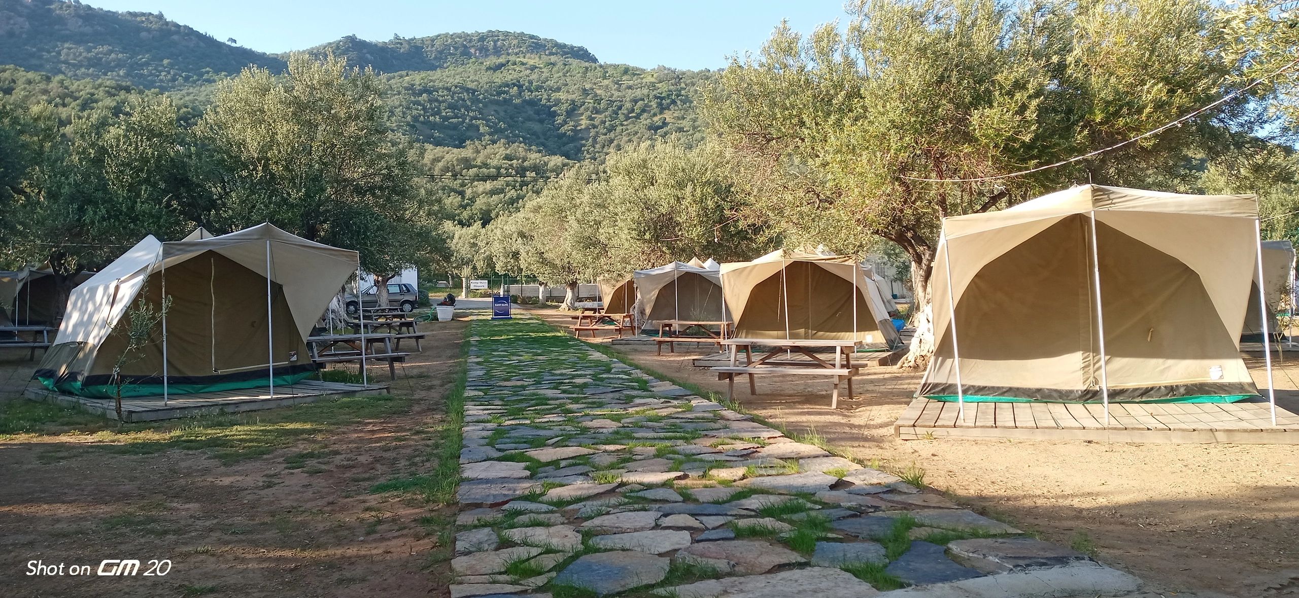 Kamp Olive