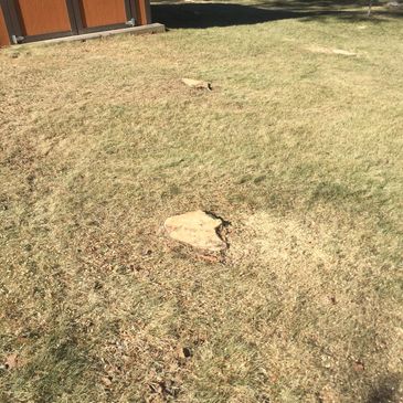 Dry grassy lawn with scattered rocks near a wooden fence.