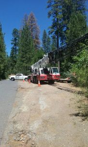 mario's tree service colton ca