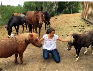 Woman kneeling outdoors surrounded by several horses and ponies.