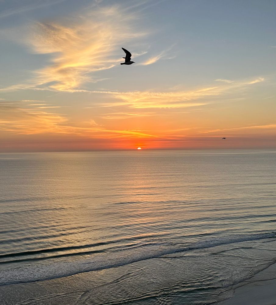 Soak in the beauty of the sand and sea.