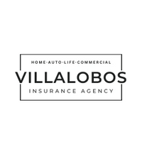 Villalobos Agency LLC