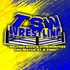 TSW Inc.