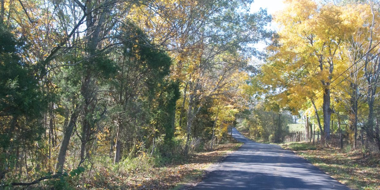 A peaceful country road surrounded by autumn trees with colorful leaves.