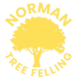 Norman Tree Felling