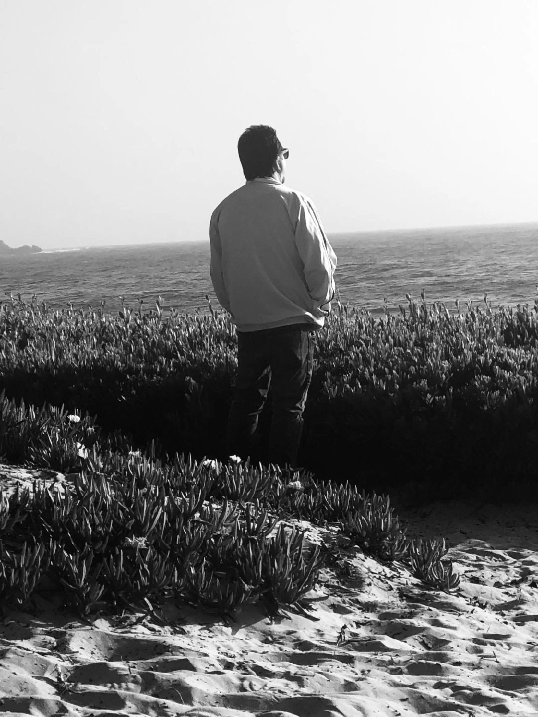 Terms and Conditions