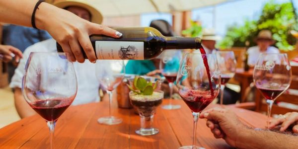 Pouring red wine into a glass at a social gathering outdoors.
