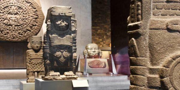 Ancient stone sculptures and artifacts displayed in a museum setting.