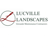 Lucville ltd