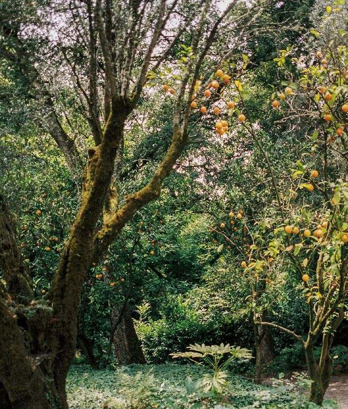 Quinta do Minho