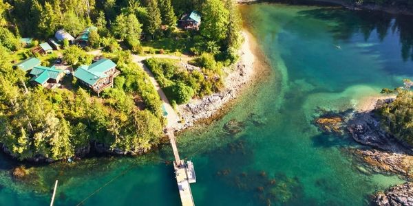 Aerial view of a green-roofed cabin by clear blue water and surrounding trees.