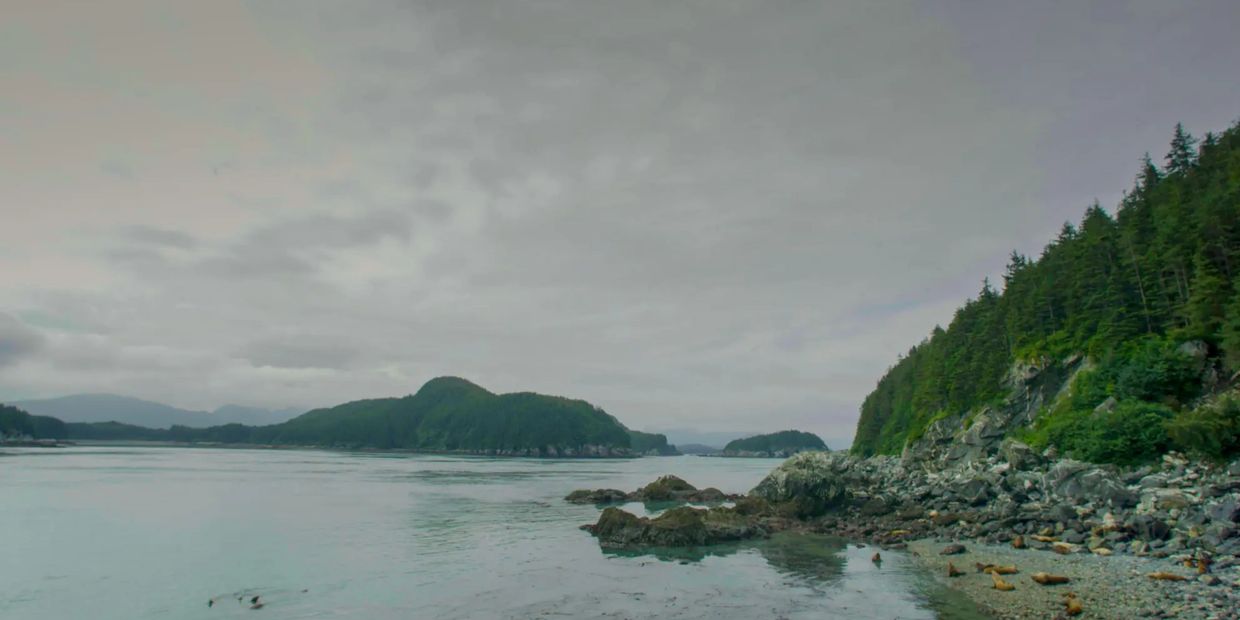 Rocky shoreline with dense green forest and calm water under cloudy sky.
