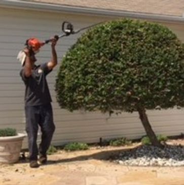 PLC Services employee is shrub trimming in The Villages, Fl.