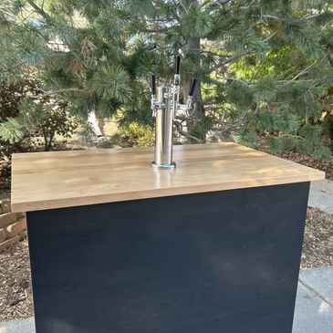 Daft counter and kegerator enclosure for special events