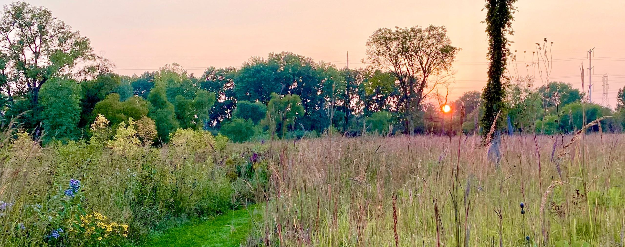 Lake Bluff Open Lands Association logo