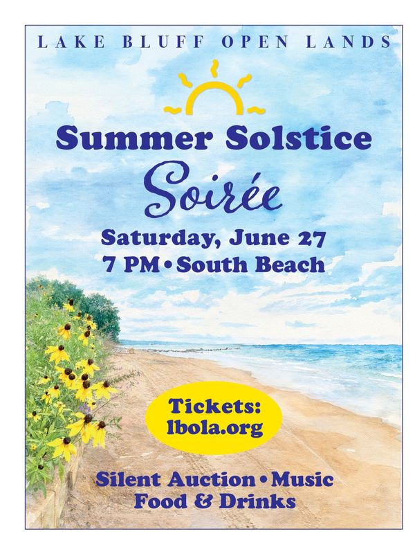 Summer Solstice Soiree poster