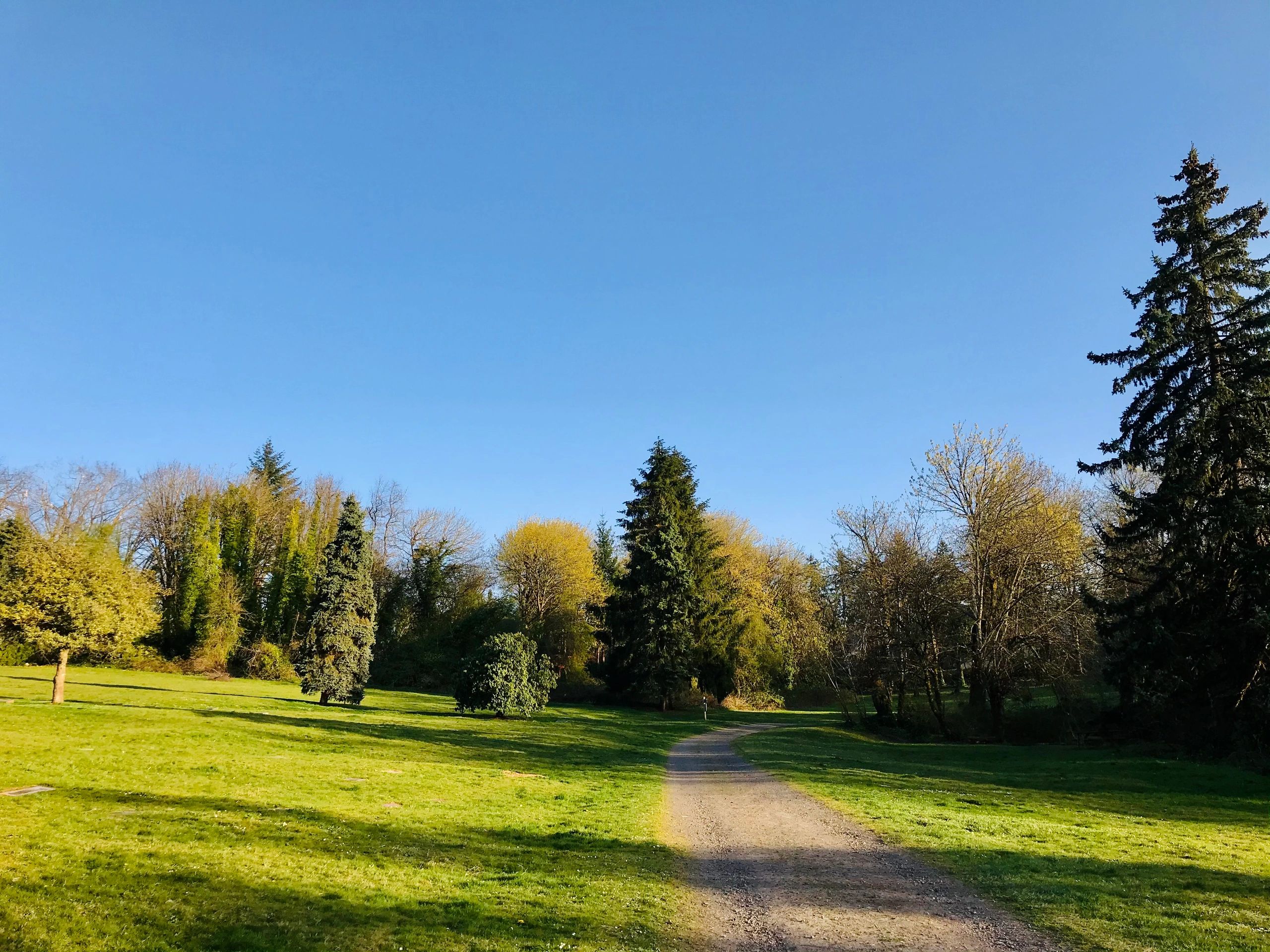 GREENWOOD HILLS CEMETERY