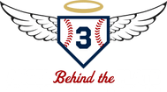 Angel Behind The Plate: The Jay Crater Legacy Foundation