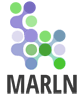 marln corp