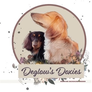 Deglow's Doxies