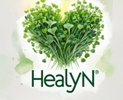 HealyN