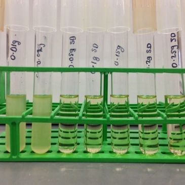 Jeff-Kuehm-FSTEAMX-R&D-Food-Safety-Consultant-Microbiological-Challenge-Study-FSMA