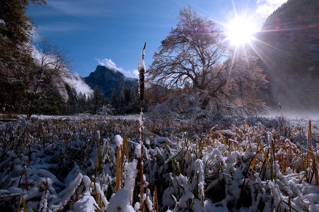 Winter in Yosemite