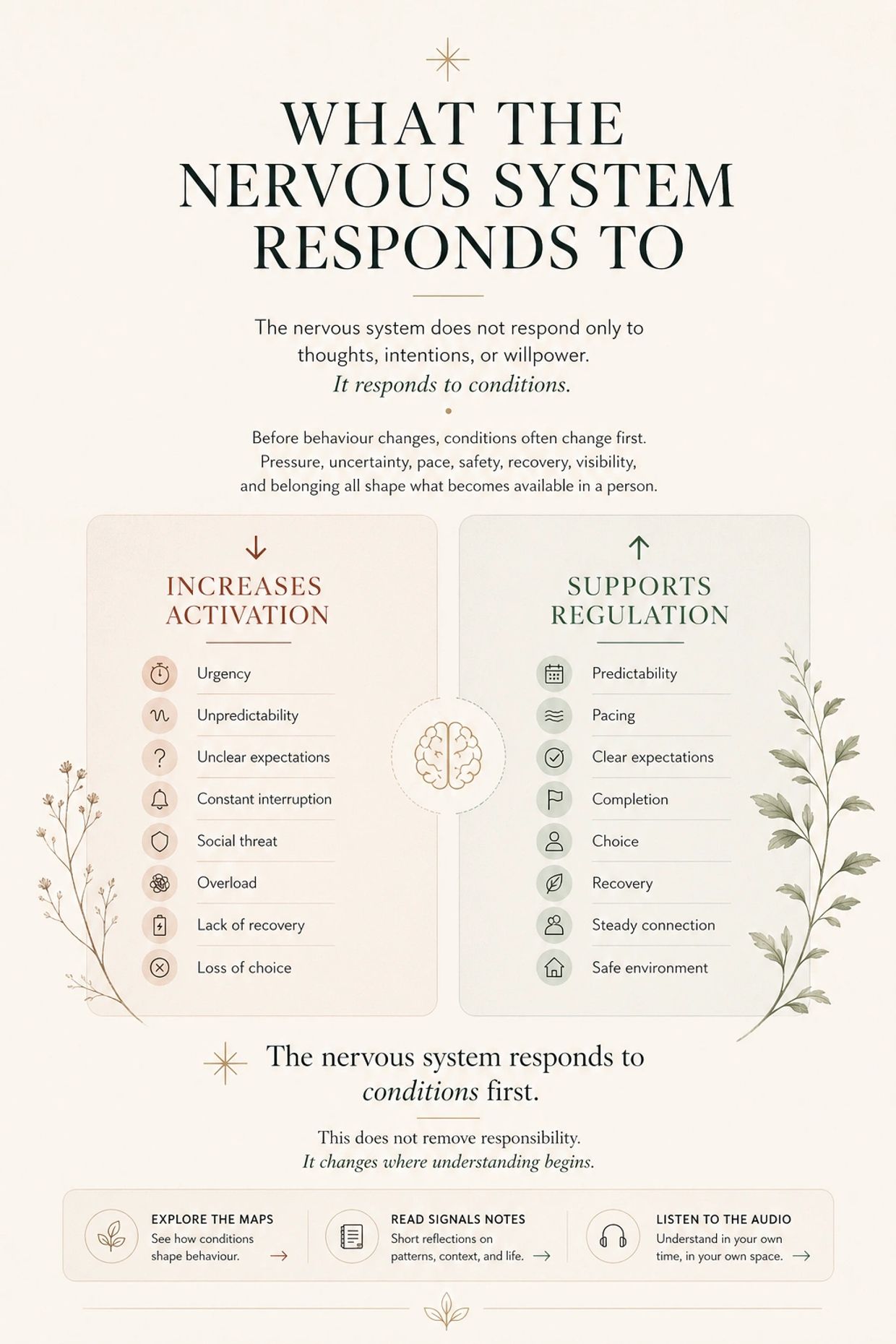 Infographic explaining how the nervous system responds to different conditions affecting activation and regulation.