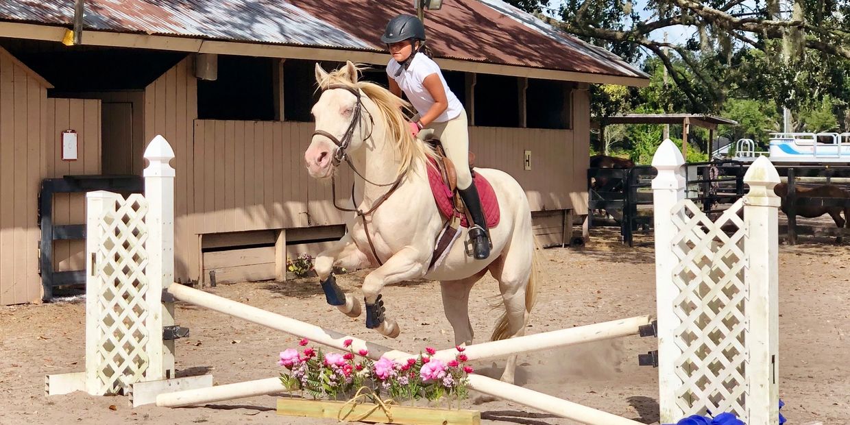 Horse Riding Lesson in Orlando AAA Equestrian Center