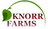 Knorr Farms